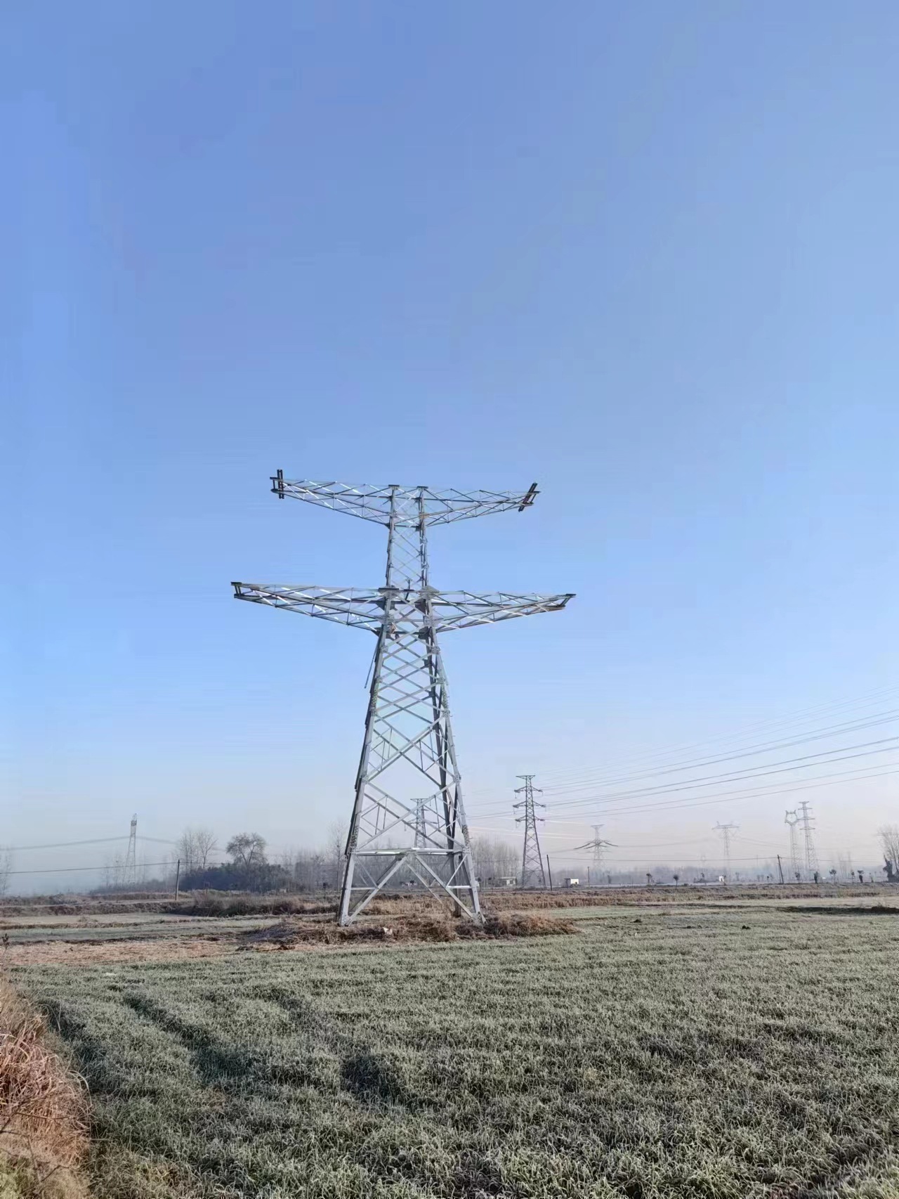 微信图片_20240303110633.jpg
