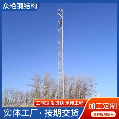 避雷塔钢结构信号塔通信塔监控塔 避雷钢结构铁塔 角钢避雷塔